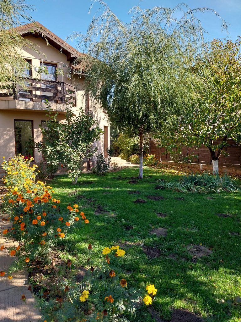 [Agentie IMOBILIARA sector 1] Casă de vânzare Domnești Teghes – proprietate individuală, zonă verde, aproape de București